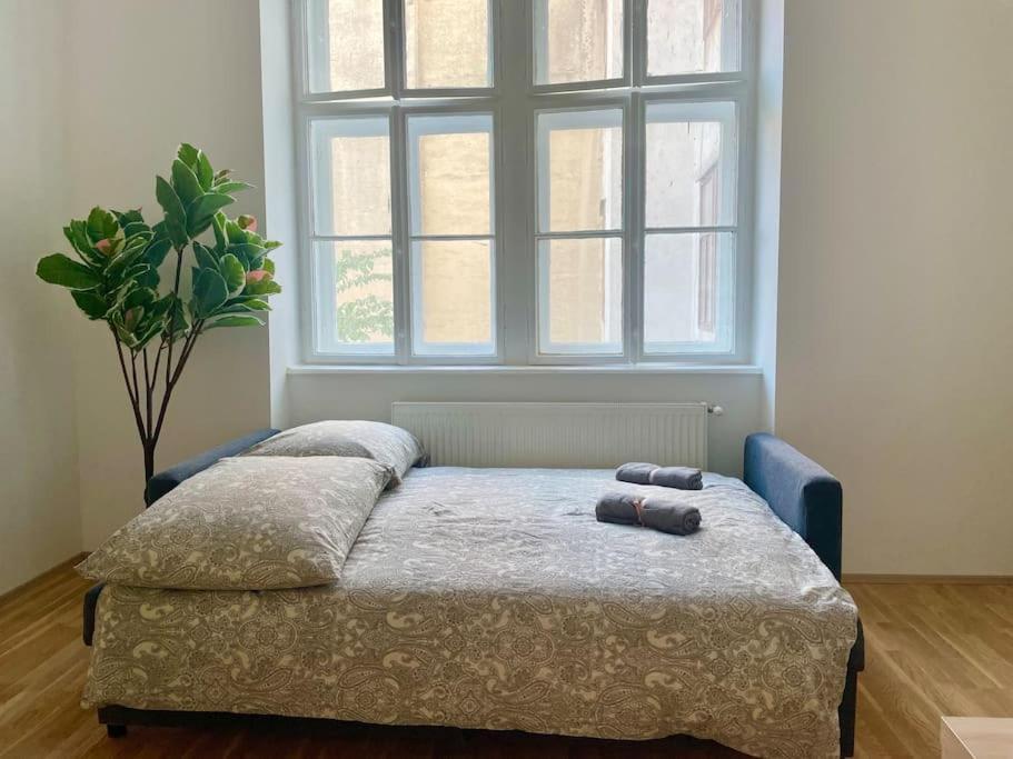 60 M2 Sunny - Free Parking Apartment Wien